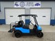 22 Club Car