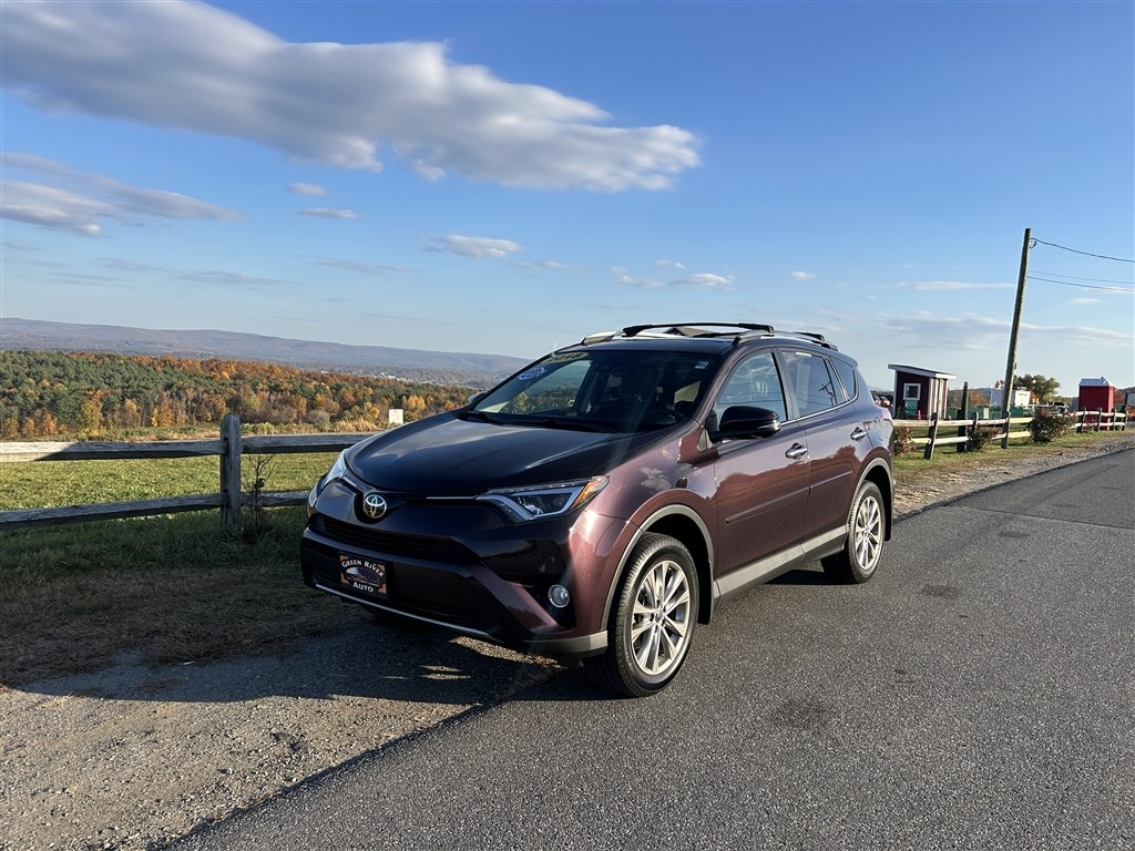 2018 Toyota RAV4 Limited photo 2