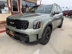 A 2024 Kia Telluride EX X-LINE